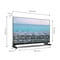 Фото - Телевізор Thomson Easy TV 24" HD 24HD2S13 | click.ua