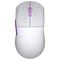 Фото - Мышь беспроводная Hator Quasar 2 Ultra 4K Wireless White/Lilac (HTM571WL) | click.ua