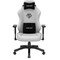 Фото - Кресло для геймеров Anda Seat Phantom 3 Size L Grey (AD18Y-06-G-F) | click.ua