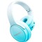 Фото - Bluetooth-гарнитура Canyon OnRiff 4 Bluetooth Blue (CNS-CBTHS4BL) | click.ua