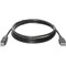 Фото - Кабель Defender USB04-17 USB2.0 AM-BM, 5м (83765), чорний | click.ua