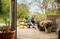 Фото - Акумуляторний пилосос Karcher WD 2-18 (1.628-500.0) | click.ua