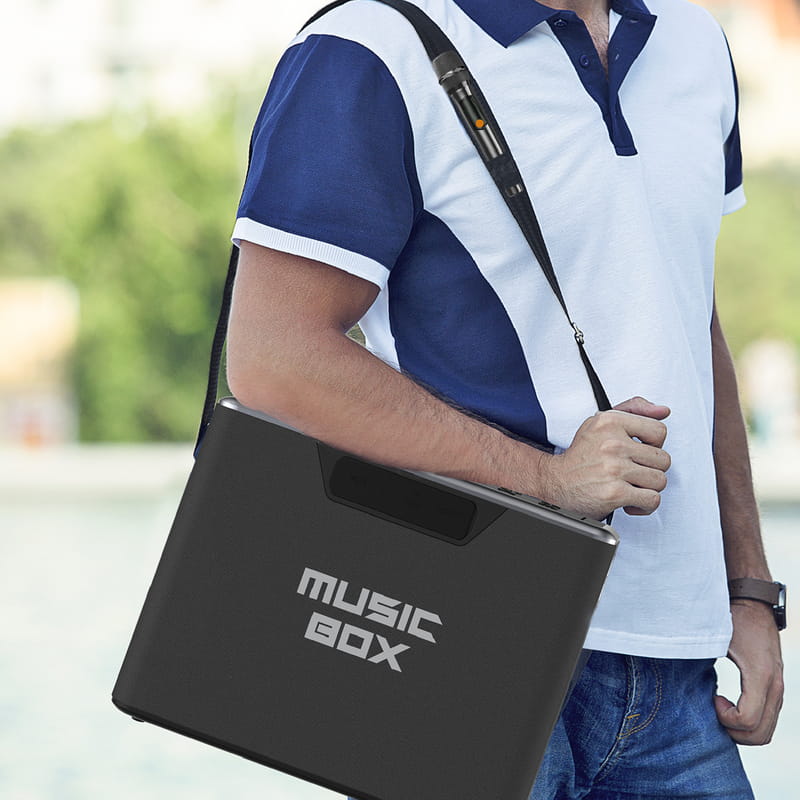 Акустическая система HiFuture MusicBox 100W Black