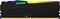 Фото - Модуль пам`яті DDR5 2x16GB/5600 Kingston Fury Beast RGB Black (KF556C40BBAK2-32) | click.ua