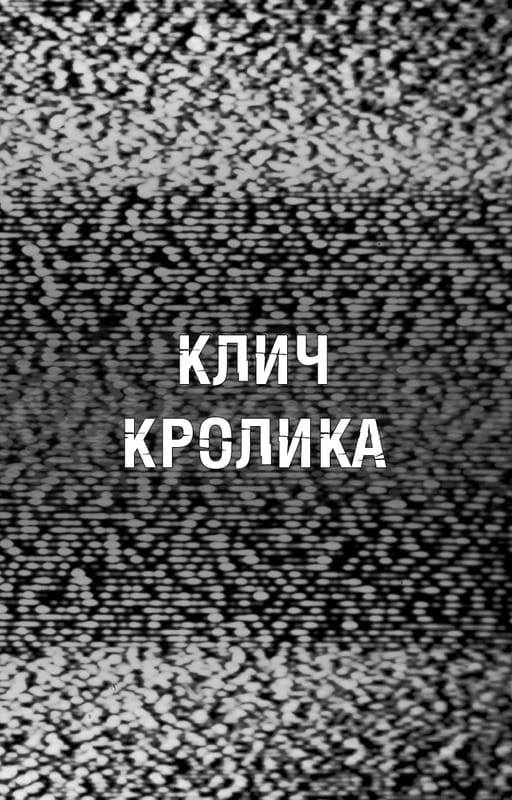 Ужастики Фазбера. Книга 5: Клич кролика / Скотт Коутон, Элли Купер, Андреа Рейнс Ваггенер