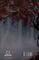 Фото - Кров і попіл. Книга 2. Королівство плоті й вогню (Подарункове видання) / Дженніфер Л. Арментраут | click.ua
