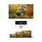 Фото - Телевизор Thomson 50QG7C14 | click.ua