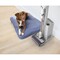 Фото - Аккумуляторный пылесос Shark Detect Pro with Auto Empty System IW3612EUT | click.ua