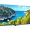 Фото - Телевізор Thomson Google TV 75" UHD 75UG5C14 | click.ua