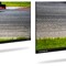 Фото - Телевізор Thomson Google TV 43" UHD 43QG7C14 | click.ua