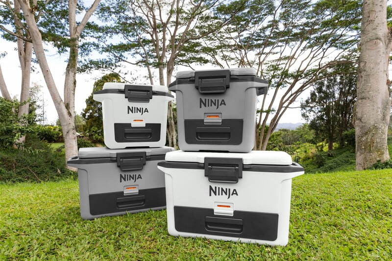 Термобокс Ninja FrostVault 47L Grey (FB151EUGY)