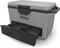Фото - Термобокс Ninja FrostVault 47L Grey (FB151EUGY) | click.ua