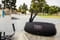 Фото - Акустична система JBL Charge 6 Black (JBLCHARGE6BLK) | click.ua