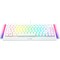Фото - Клавиатура Razer BlackWidow V4 75% White (RZ03-05001700-R3M1) | click.ua
