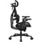 Фото - Крісло для геймерів TX3 Flex Pro Mesh Black (TEGC-3076101.12) | click.ua