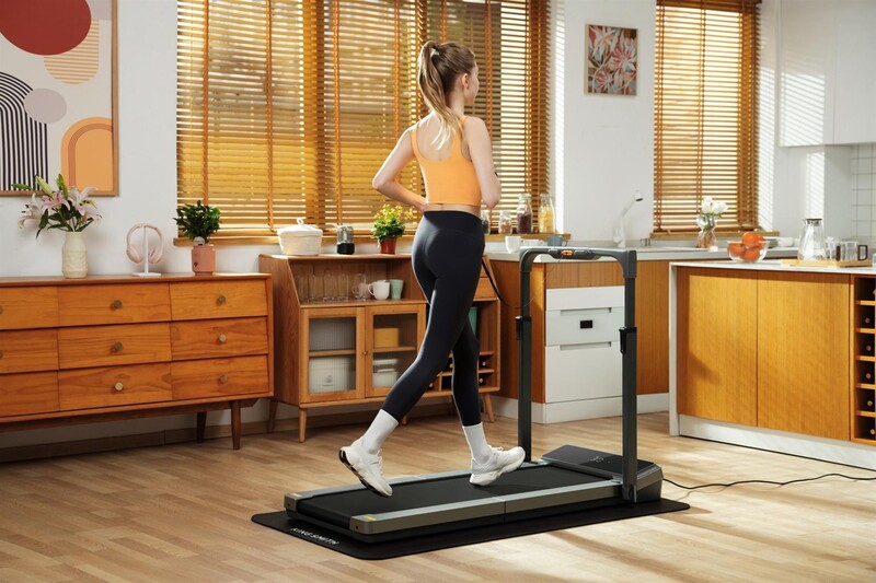Бігова доріжка KingSmith Treadmill Z3 Hybrid Black (WP400P42)