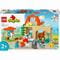Фото - Конструктор LEGO Duplo Town Уход за животными на ферме (10416) | click.ua