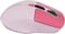Фото - Мышь беспроводная Canyon MW-26 LCD Silent Dual Mode Pink (CNS-CMSW26P) | click.ua