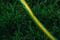 Фото - Шланг 2Е AquaFlex Green 1/2" 12м (2E-GHE12GN12) | click.ua