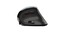 Фото - Миша бездротова Trust Voxx Rechargeable Ergonomic Black (23731) | click.ua