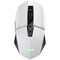 Фото - Миша Trust GXT 110 Felox White (25069) | click.ua