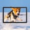 Фото - Захисне скло BeCover для Blackview Tab 70 WiFi 10.1" (712823) | click.ua