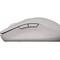 Фото - Мышь беспроводная Canyon MW-12 Dual Band Beige (CNS-CMSW12BG) | click.ua