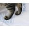Фото - Сменная подкладка для наполнителя Petkit High Performance Cat Litter Pad Ultra (P99035) | click.ua