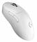 Фото - Миша бездротова Logitech G Pro X Superlight 2 Dex White (910-007365) | click.ua