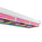 Фото - Система водяного охолодження ID-Cooling FX360 INF Pink | click.ua