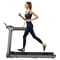 Фото - Беговая дорожка KingSmith WalkingPad Treadmill X218 | click.ua