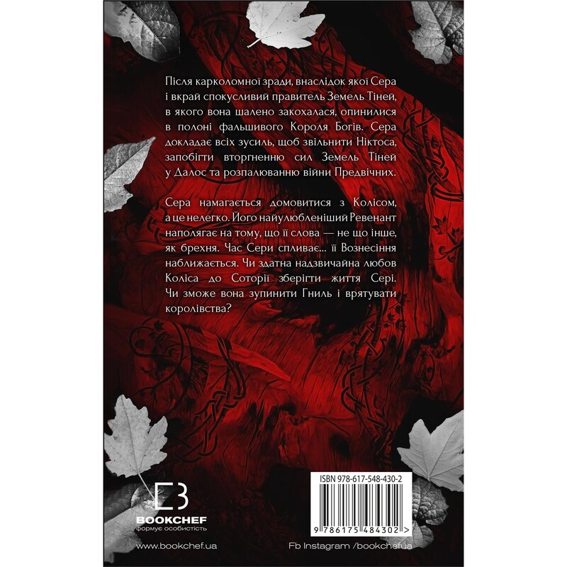 Плоть і вогонь. Книга 3: Вогонь у плоті / Дженніфер Л. Арментраут