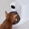 Фото - Смарт-годівниця Petkit YumShare Solo with Camera (P571) | click.ua
