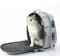 Фото - Рюкзак-переноска Petkit Breezy 2 Smart Cat Carrier Pink (P7704) | click.ua