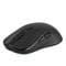 Фото - Мышь беспроводная 2E Gaming MG270 Black (2E-MG270UB-WL) | click.ua