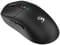 Фото - Миша бездротова A4Tech Bloody R72 Pro Duo Black | click.ua