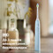 Фото - Зубная электрощетка Philips Sonicare Series 5300 HX7106/01 | click.ua