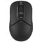 Фото - Мышь беспроводная A4Tech FB12S Black | click.ua