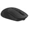 Фото - Мышь беспроводная A4Tech FB10CS Stone Black | click.ua