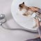 Фото - Набір для грумінгу Mova Pet Grooming G1Pro | click.ua