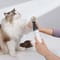 Фото - Набір для грумінгу Mova Pet Grooming G1Pro | click.ua