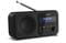 Фото - Радіоприймач Sharp DR-P420 Midnight Black (DR-P420(BK)) | click.ua