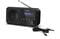 Фото - Радіоприймач Sharp DR-P420 Midnight Black (DR-P420(BK)) | click.ua