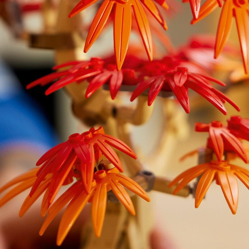 Конструктор LEGO Botanicals Бонсай з японського червоного клена (10348)