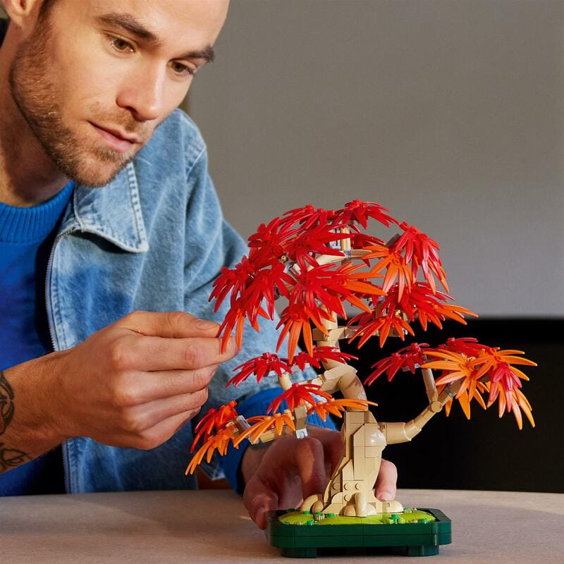 Конструктор LEGO Botanicals Бонсай з японського червоного клена (10348)