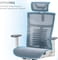 Фото - Крісло офісне Officepro Balance OC620-W-DG-DG White/Dark Gray | click.ua