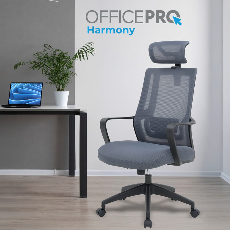 Крісло офісне OfficePro Harmony OC310-B-G-G Black/Gray