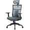 Фото - Крісло офісне OfficePro Balance OC550-B-DG-DG Black/Dark Gray | click.ua