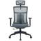 Фото - Крісло офісне OfficePro Balance OC550-B-DG-DG Black/Dark Gray | click.ua