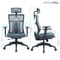 Фото - Крісло офісне OfficePro Balance OC550-B-DG-DG Black/Dark Gray | click.ua